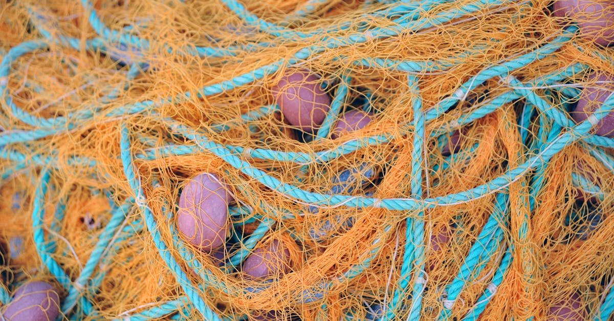 découvrez l'univers fascinant du fishnet : un tissu à mailles qui allie sensualité et élégance. explorez son utilisation dans la mode, le design et bien plus encore pour sublimer vos tenues et créations.