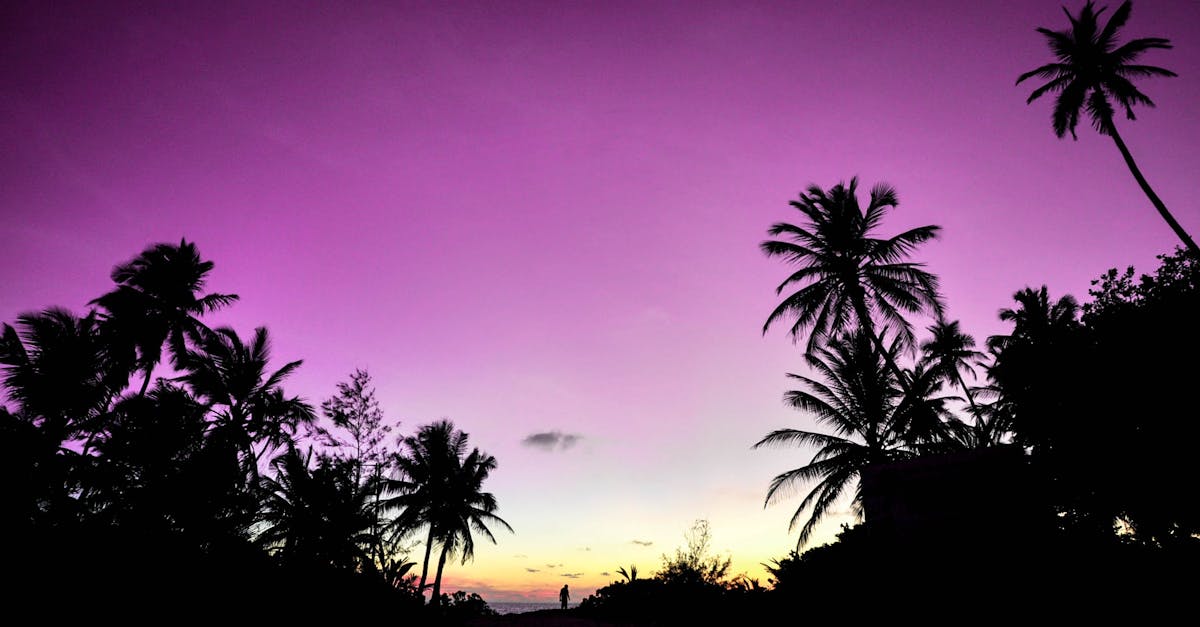 découvrez le bonheur ultime avec 'paradise', un espace où rêves et réalité se rencontrent. évadez-vous vers une oasis de sérénité, de beauté et de délicieuses expériences qui éveilleront vos sens et nourriront votre âme.
